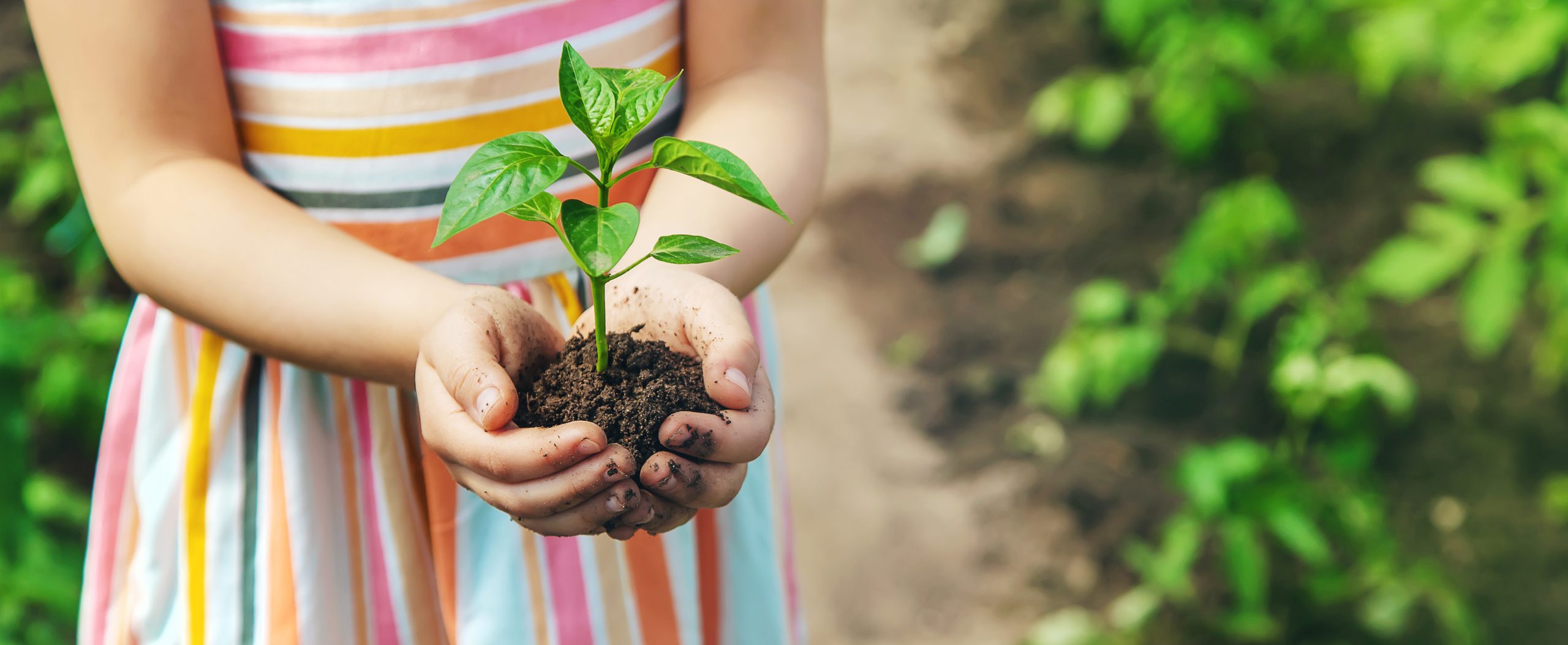 a child with plant and a soil